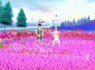 7117.gif