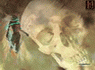 7170.gif