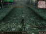 9574.gif